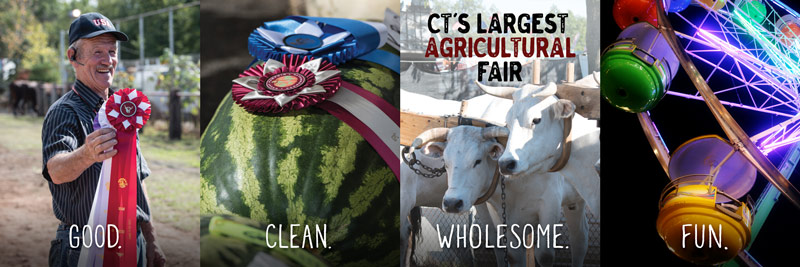 Good, Clean, Wholesome, Fun